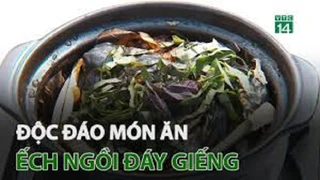 Độc đáo món Ếch ngồi đáy giếng