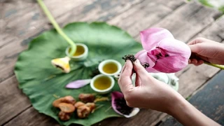 Hướng dẫn ướp xổi Trà Sen