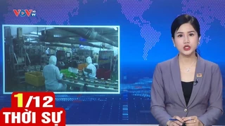 Bản tin sáng ngày 1/12 | Tin tức thời sự mới nhất hôm nay | VOV