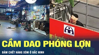 Bắc Ninh: Nguyên nhân vụ cầm dao phóng lợn đâm chết hàng xóm | VOV
