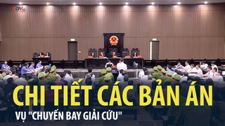 Chi tiết các bản án trong vụ "Chuyến bay giải cứu"