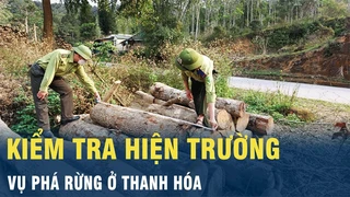 Tin nóng: Kiểm tra hiện trường vụ phá rừng ở Thanh Hóa | VOV