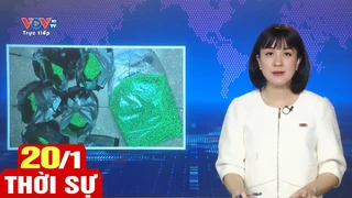 Bản tin sáng ngày 20/1 | Tin tức thời sự mới nhất hôm nay | VOV