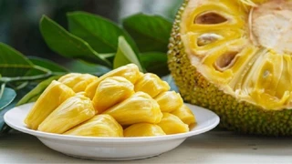 Giá trị Dinh Dưỡng và Phòng Bệnh từ Mít