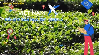 Đồi chè bản Hua Tạt - Sơn La