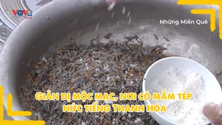 Giản dị mộc mạc, nơi có mắm tép nức tiếng Thanh Hóa