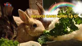 Du lịch canh nông là gì ?
