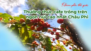 Thưởng thức cafe trồng trên ngọn núi cao nhất Châu Phi