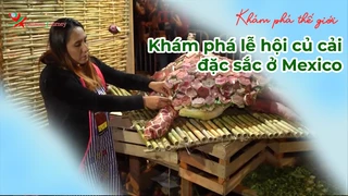 Khám phá lễ hội củ cải đặc sắc ở Mexico - Khám Phá Thế Giới