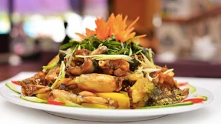 Lợi ích của thịt ếch đối với sức khỏe
