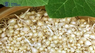 Cách bảo quản hành tăm được tươi lâu 