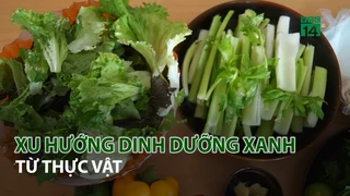 Xu hướng dinh dưỡng xanh từ Thực Vật