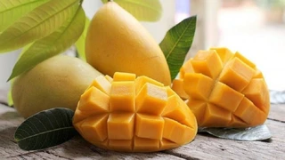 Những lưu ý khi lựa chọn trái cây mùa hè