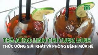 Trà Atiso Linh chi Cung đình thức uống giải khát và phòng bệnh mùa hè