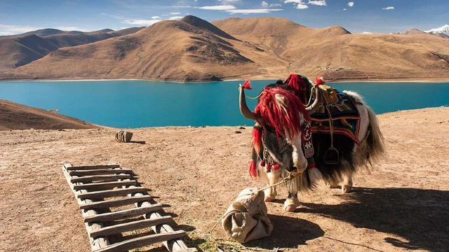 Du lịch Tây Tạng Khám Phá vùng đất thiêng và hùng vĩ Phần 3