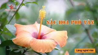 Sắc hoa Phù Vân - Làng Nghề Việt