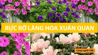 Rực rỡ làng hoa Xuân Quan- Làng Nghề Việt