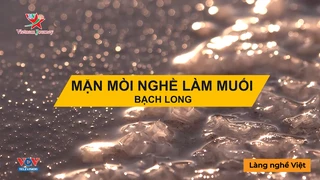Mặn mòi nghề làm muối Bạch Long - Làng Nghề Việt
