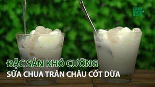 Đặc sản khó cưỡng, sữa chua trân châu cốt dừa