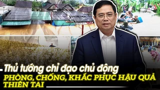 Thủ tướng chỉ đạo chủ động phòng, chống, khắc phục hậu quả thiên tai | VOVTV