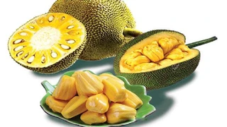 Nên ăn mít thế nào để tốt cho sức khỏe