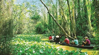 Khám phá du lịch: Tình đất và con người Đồng Tháp (phần 3)