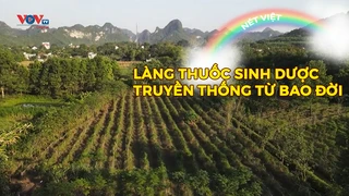 Làng thuốc sinh dược truyền thống từ bao đời