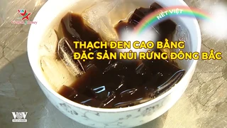 Thạch đen Cao Bằng - Đặc sản núi rừng Đông Bắc
