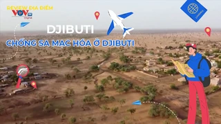 Chống sa mạc hóa ở Djibuti