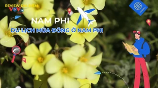 Du lịch mùa đông ở Nam Phi
