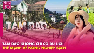 Tam Đảo - Viên Ngọc Xanh Giữa Lòng Vĩnh Phúc