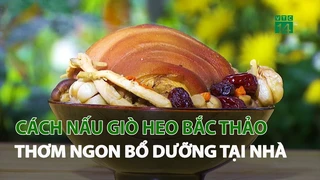 Cách nấu giò Heo Bắc Thảo thơm ngon bổ dưỡng tại nhà