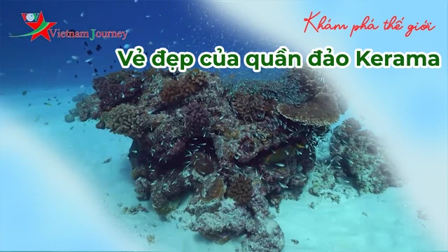 Vẻ đẹp của quần đảo Kerama - Nhật Bản