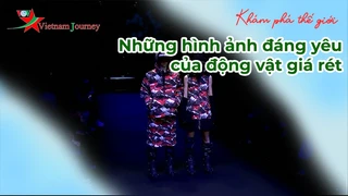 Những BST đáng chú ý tại tuần lễ thời gian Berlin