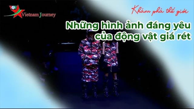 Những BST đáng chú ý tại tuần lễ thời gian Berlin