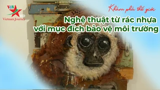 Nghệ thuật từ rác nhựa với mục đích bảo vệ môi trường