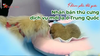 Nhân bản thú cưng dịch vụ mới lạ ở Trung Quốc