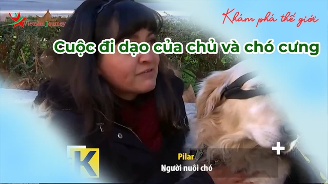 Cuộc đi dạo của chủ và chó cưng