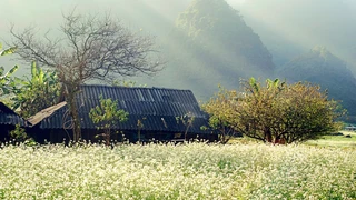 Khám phá cao nguyên Mộc Châu (Phần 1)