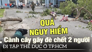Vụ cành cây gãy đè chết 2 người đi thể dục ở TP.HCM, cành vẫn xanh tươi dù rỗng ruột | VOVTV
