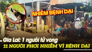 Gia Lai 1 người tử vong, 11 người phơi nhiễm vì bệnh dại | VOVTV