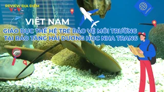 Giáo dục thế hệ trẻ bảo vệ môi trường tại Bảo tàng Hải Dương học Nha Trang