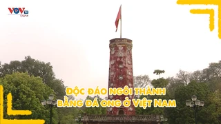 Độc đáo ngôi thành bằng đá ong ở Việt Nam
