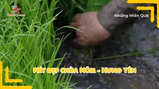 Nét đẹp chùa Nôm - Hưng Yên