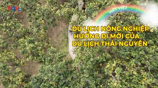 Du lịch nông nghiệp - Hướng đi mới của du lịch Thái Nguyên