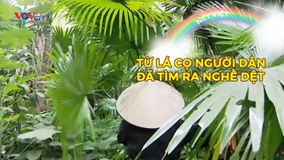 Từ lá cọ người dân đã tìm ra nghề dệt