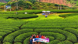 Khám phá nông trường Mộc châu (phần 2)
