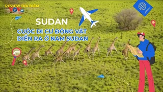 Cuộc di cư động vật diễn ra ở Nam Sudan