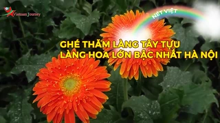 Ghé thăm làng Tây Tựu - Làng hoa lớn bậc nhất Hà Nội