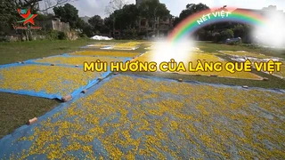 Mùi hương của làng quê Việt